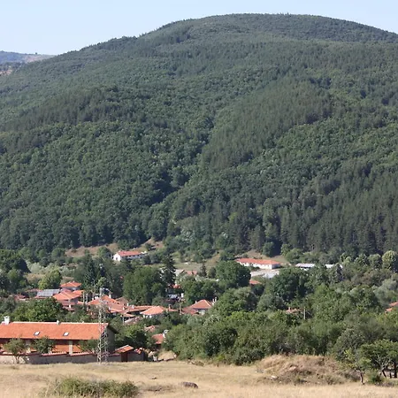 The House On The Hill Medven